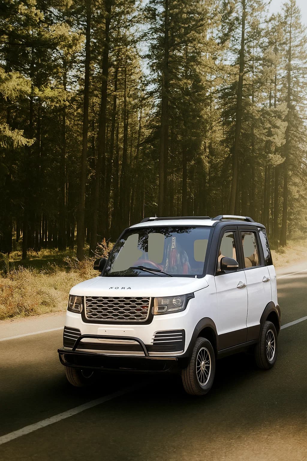 Description for image 1